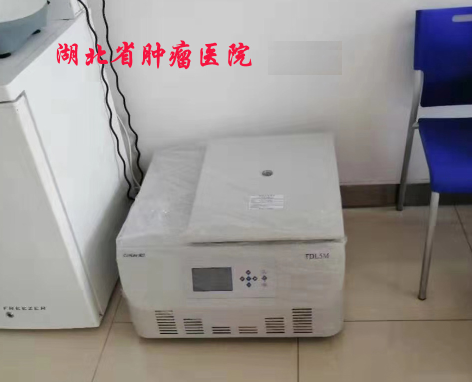 湖北省肿瘤医院2020.jpg
