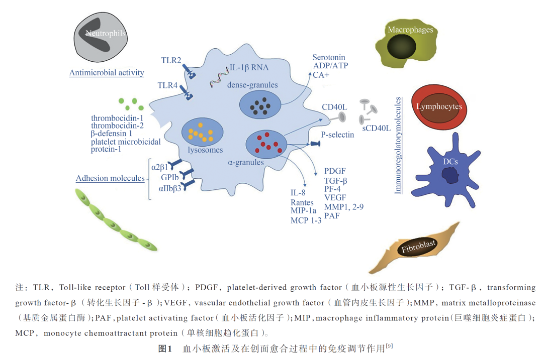 【PRP文献快递】PRP-80℃深低温短期保存后细胞因子的变化